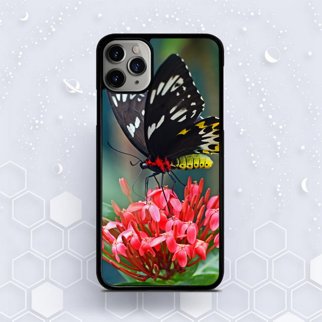 Animal Photos Design Cell Phone Cases-47