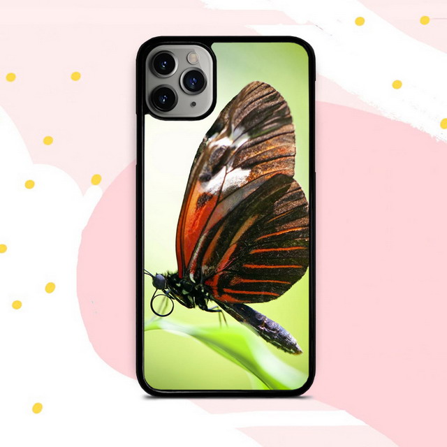 Animal Photos Design Cell Phone Cases-50